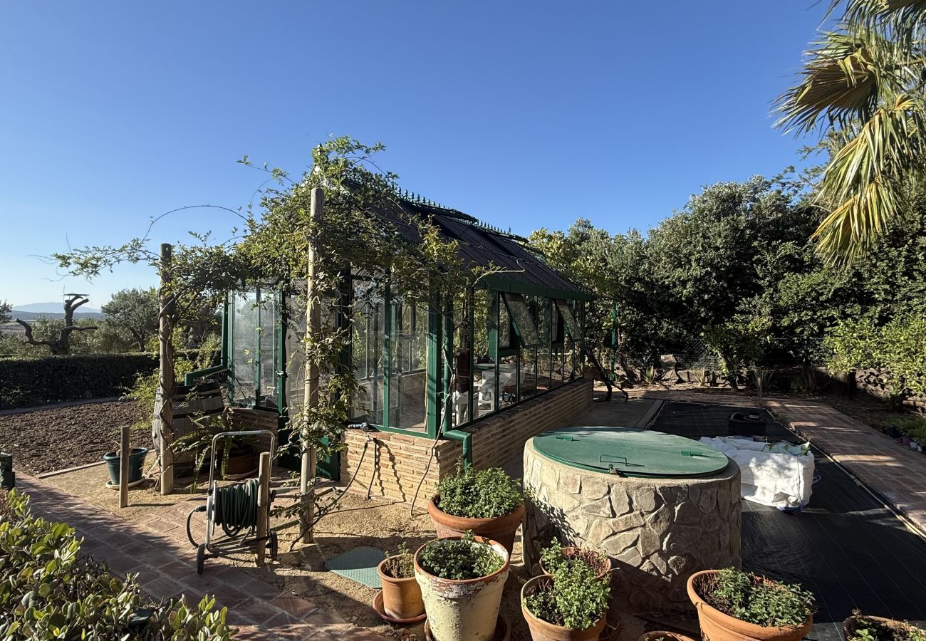 Villa en Benalup-casas viejas - 48. Luxury Eco Villa with Pool, Jacuzzi & Daily Br