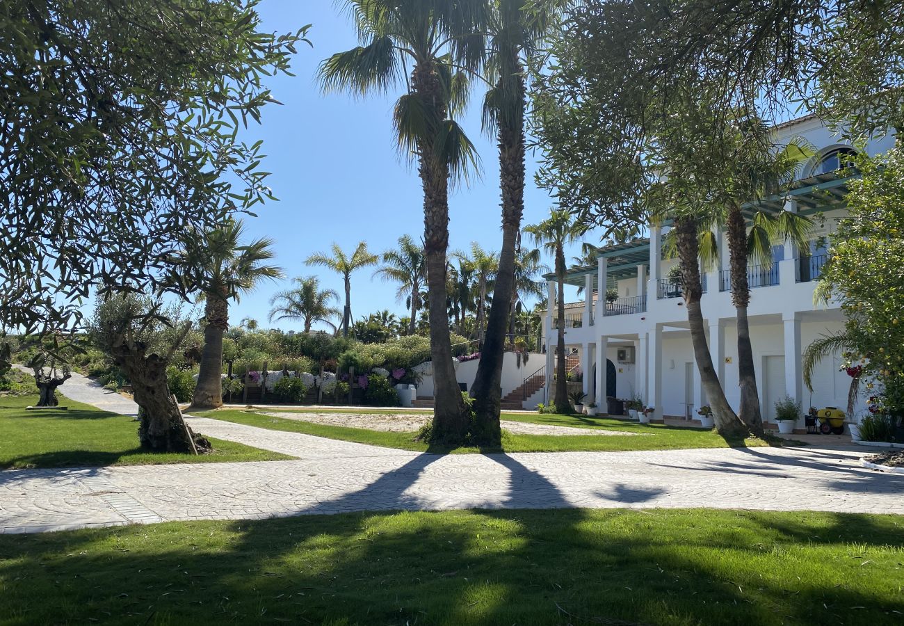 Villa en Benalup-casas viejas - 48. Luxury Eco Villa with Pool, Jacuzzi & Daily Br