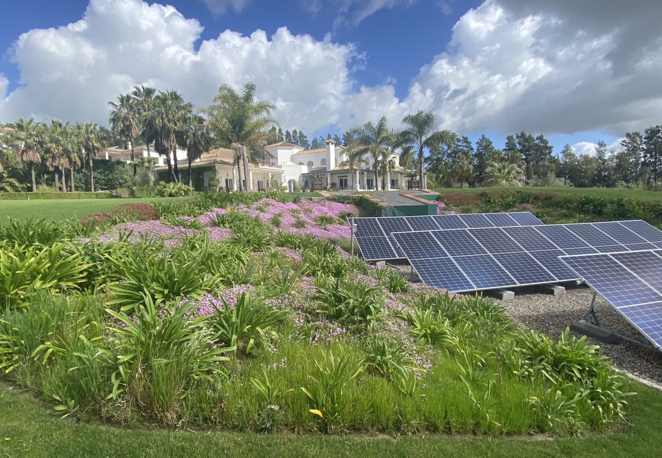 Villa in Benalup-casas viejas - 48. Luxury Eco Villa with Pool, Jacuzzi & Daily Br