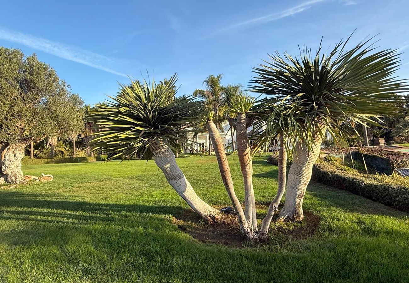 Villa i Benalup-casas viejas - 48. Luxury Eco Villa with Pool, Jacuzzi & Daily Br